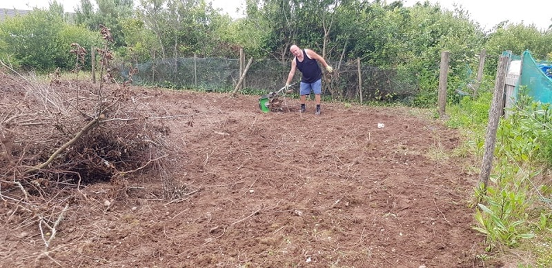 Communal spaces tidied and overgrown plot prepared for growing fruit and veg